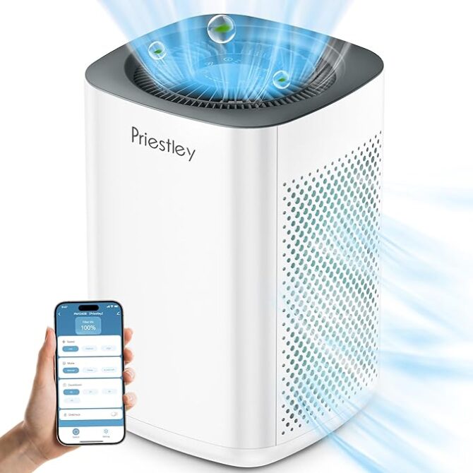 Air Purifiers, Air Purifier for Home, Large Room up to 1000 sq.ft in 60 Minutes, Removes 99.97% of Particles, H13 True HEPA Filter, Smoke, Pollen, Allergies and pets, Timer, Sleeping much better